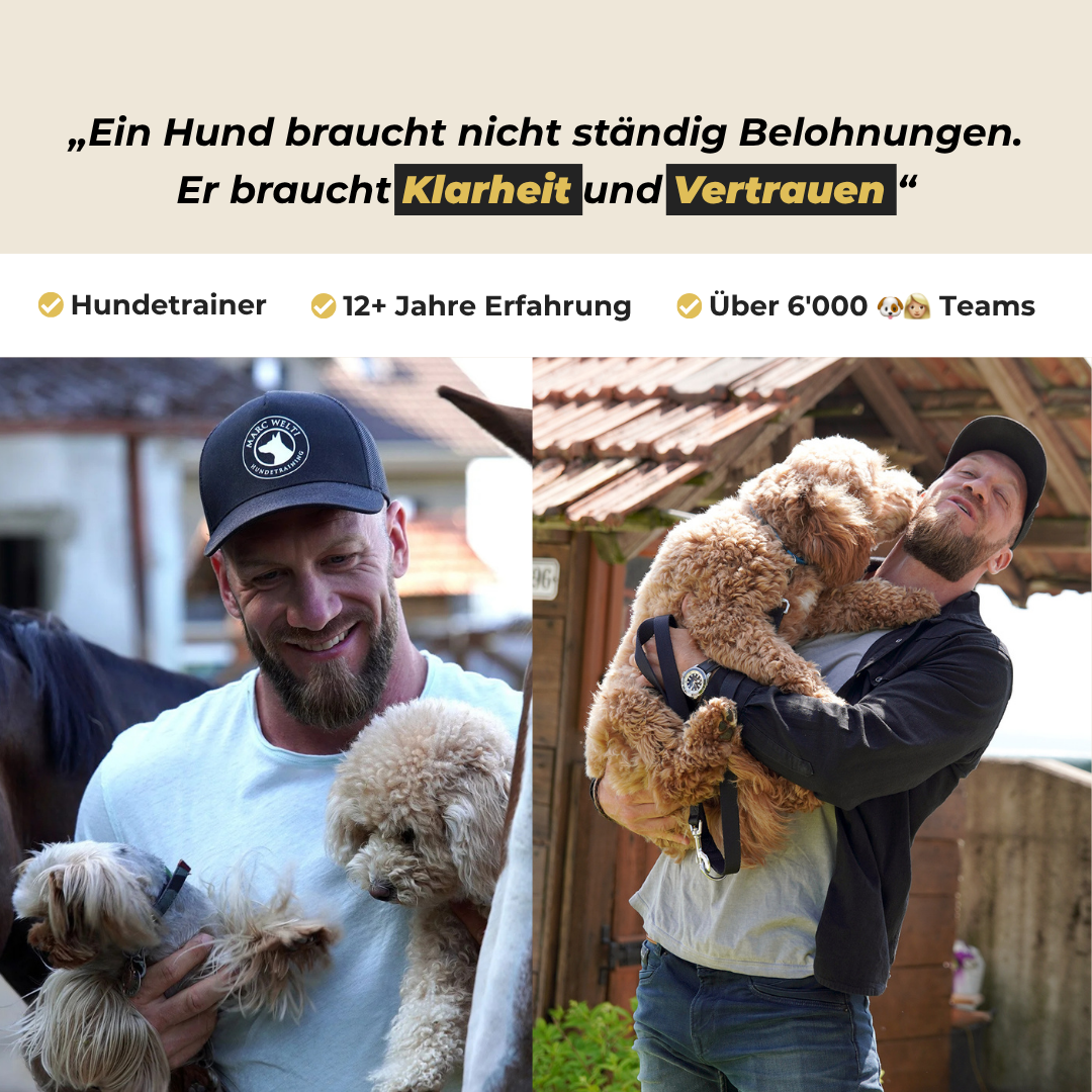 Marc Welti Quote Ad