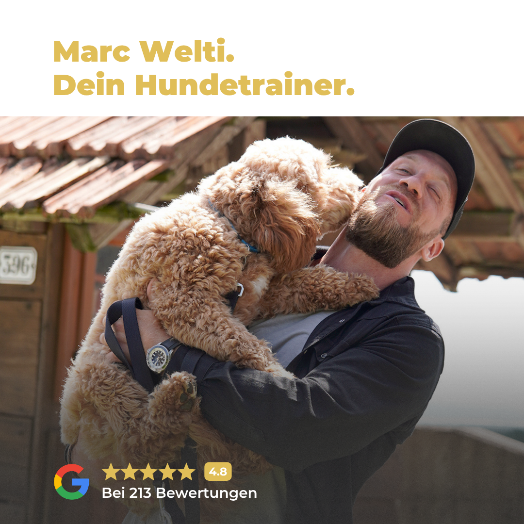 Marc Welti Review Ad